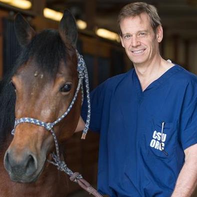 Photo of David Frisbie