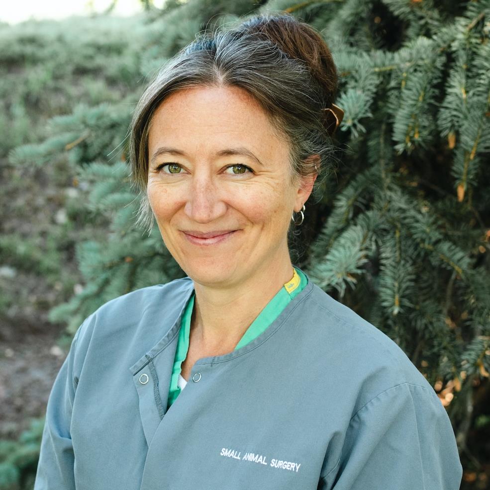 Photo of Jennifer Tucker