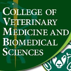 Photo of Erin RosarTest