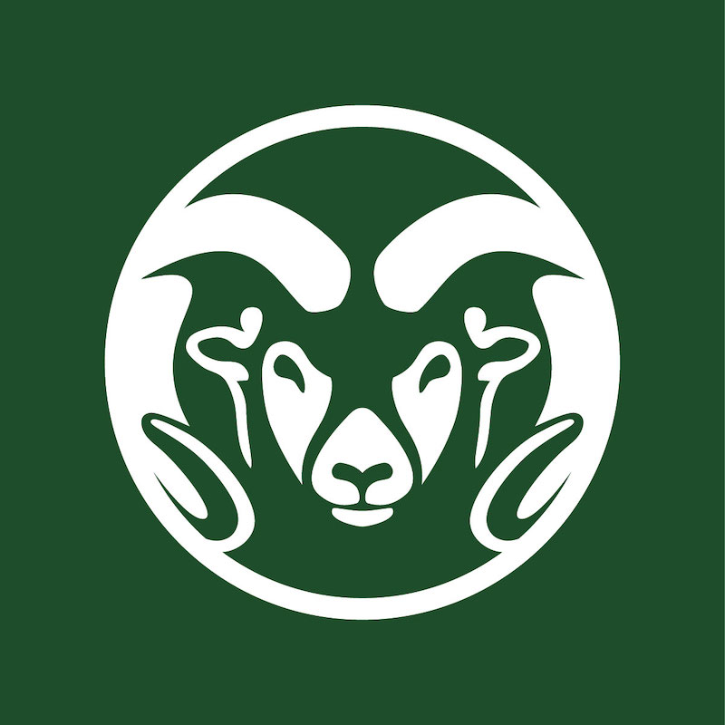 Photo of Hannah Collins